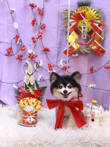 20230121虎ちゃん